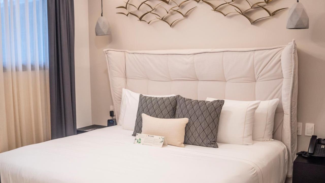 פלאייה דל כרמן Serenity Hotel Boutique By Alsol מראה חיצוני תמונה